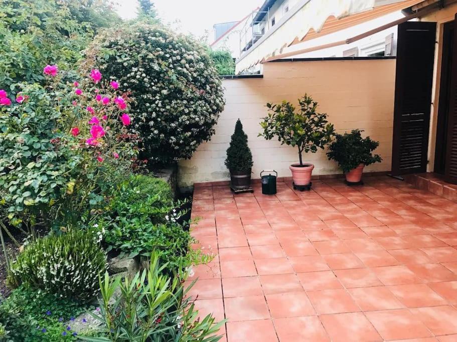 Ein Zuhause Mit Schonem Garten Lägenhet Bonn Exteriör bild